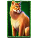 Puma desenata pe fundal verde, cu margini decorative verzi.