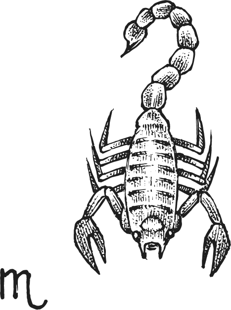 zodia scorpion