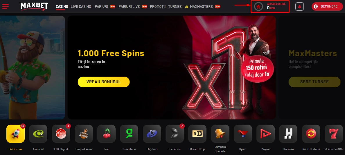 Verificare cont Maxbet pas 2 - mergi la profil