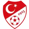 Emblema nationala fotbal Turcia